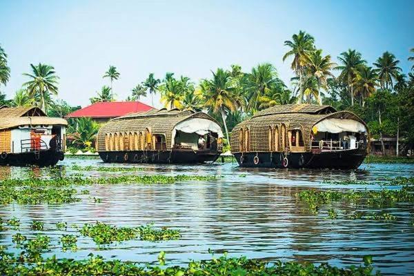 Marari Beach Cleetus Homestay Mararikulam Exterior photo